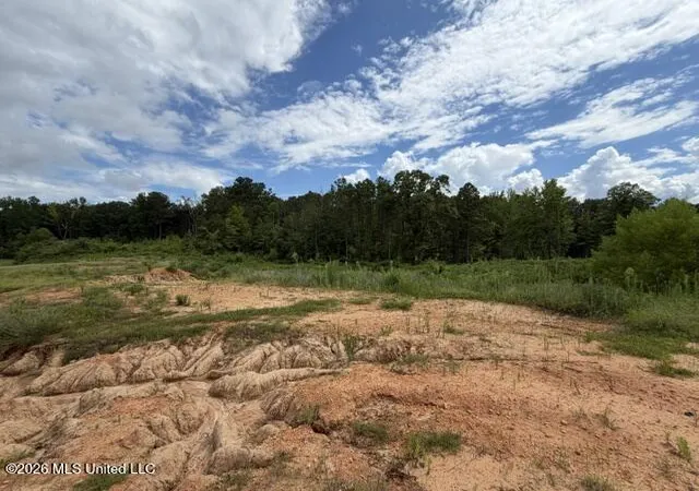 Photo 3 of Land for sale at 7 Taylor Nicole Rd, Coldwater, MS 38618 | MLS# 4155827 | Listing updated on 2026-07-17