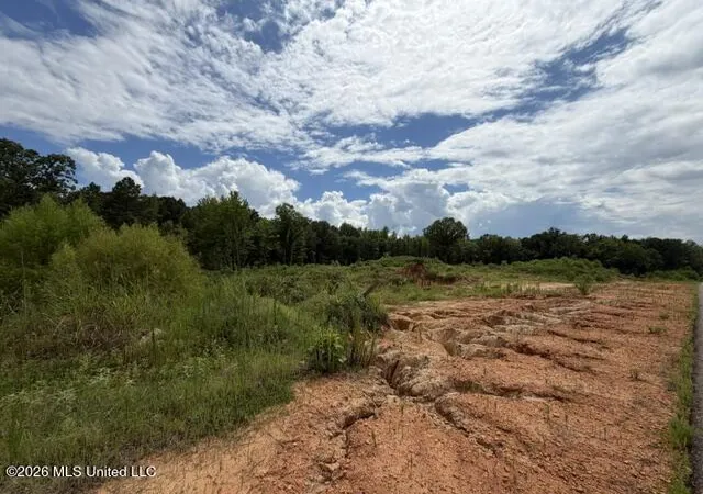 Photo 1 of Land for sale at 8 Taylor Nicole Rd, Coldwater, MS 38618 | MLS# 4155828 | Listing updated on 2026-07-17