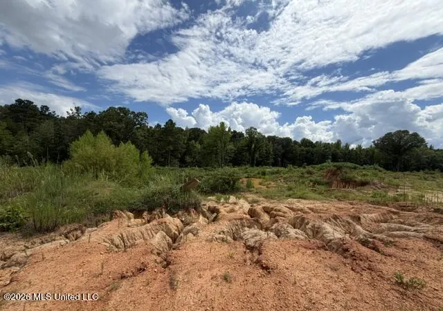 Photo 3 of Land for sale at 8 Taylor Nicole Rd, Coldwater, MS 38618 | MLS# 4155828 | Listing updated on 2026-07-17