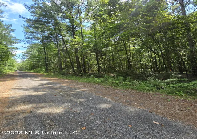 Photo 2 of Land for sale at Scott St, Pelahatchie, MS 39145 | MLS# 4155812 | Listing updated on 2026-09-04