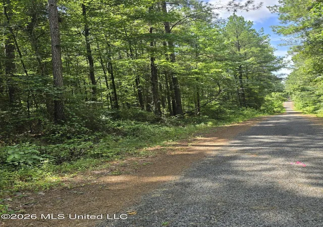 Photo 3 of Land for sale at Scott St, Pelahatchie, MS 39145 | MLS# 4155812 | Listing updated on 2026-09-04