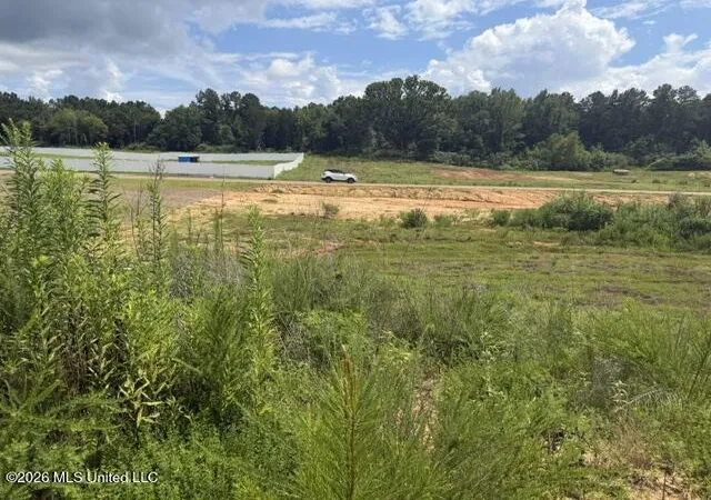Photo 2 of Land for sale at 11 Taylor Nicole Rd, Coldwater, MS 38618 | MLS# 4155830 | Listing updated on 2026-07-17