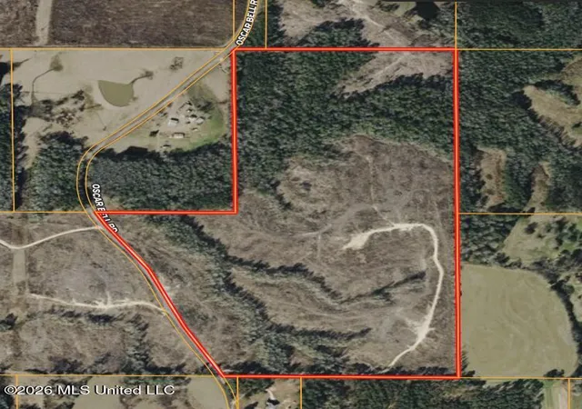 Homes for sale in Waynesboro, MS | Oscar Bell Rd, Waynesboro, MS 39367 | MLS# 4155816