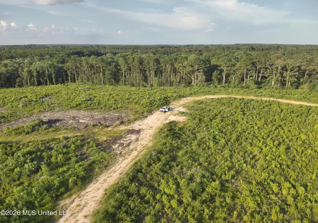 Homes for sale in Waynesboro, MS | Oscar Bell Rd, Waynesboro, MS 39367 | MLS# 4155816