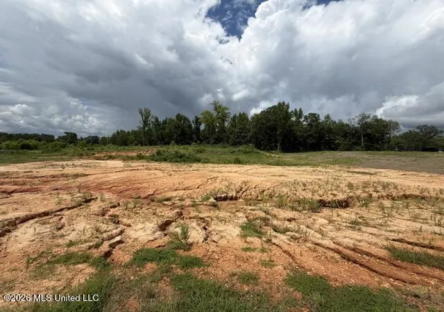Photo 2 of Land for sale at 14 Taylor Nicole Rd, Coldwater, MS 38618 | MLS# 4155832 | Listing updated on 2026-07-17