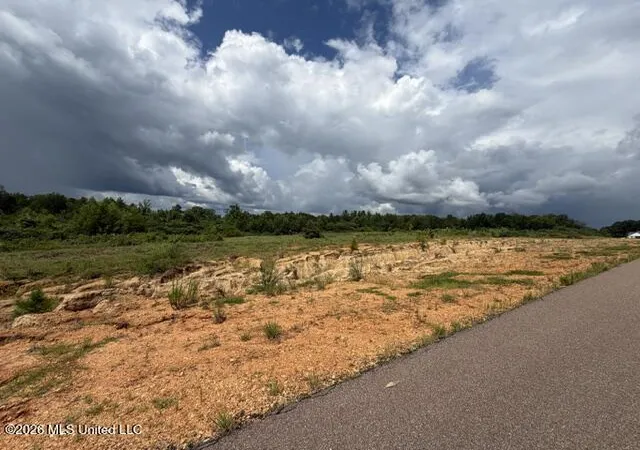Photo 2 of Land for sale at 14 Taylor Nicole Rd, Coldwater, MS 38618 | MLS# 4155832 | Listing updated on 2026-07-17