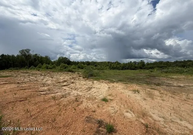 Photo 3 of Land for sale at 14 Taylor Nicole Rd, Coldwater, MS 38618 | MLS# 4155832 | Listing updated on 2026-07-17