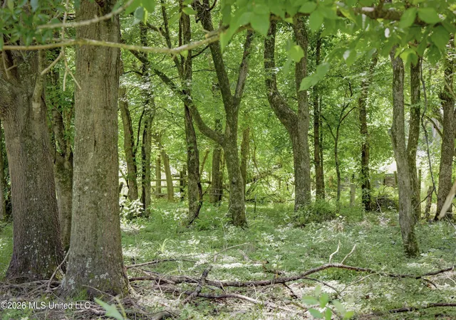 Photo 3 of Land for sale at Center Hl Rd, Olive Branch, MS 38654 | MLS# 4155425 | Listing updated on 2026-07-10