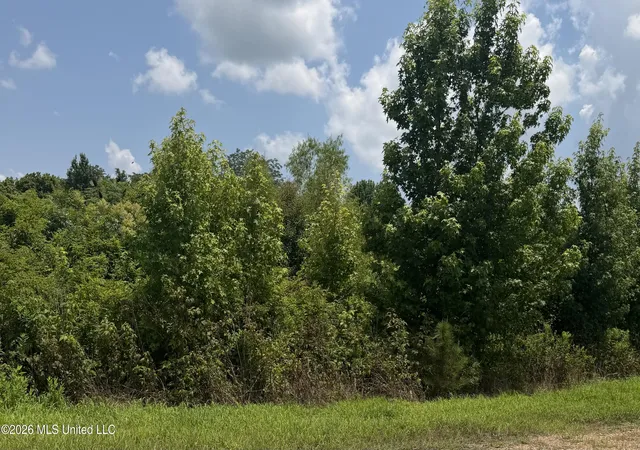 Homes for sale in Senatobia, MS | 0 Kyle Rd, Senatobia, MS 38668 | MLS# 4155400