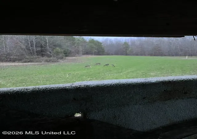 18th image of 1447 Minor Bridge Rd, Ashland, MS 38603 | MLS# 4155423