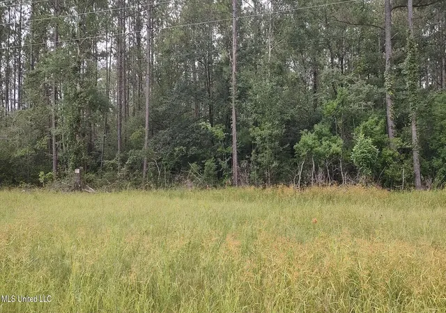 1st image of Mississippi 43 N, Picayune, MS 39466 | MLS# 4155412
