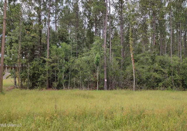 2nd image of Mississippi 43 N, Picayune, MS 39466 | MLS# 4155412