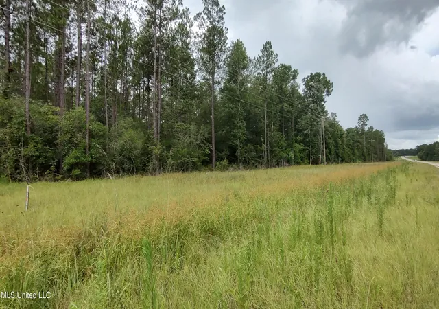 Photo 3 of Land for sale at Mississippi 43 N, Picayune, MS 39466 | MLS# 4155412 | Listing updated on 2026-07-10
