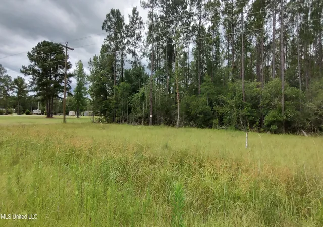 4th image of Mississippi 43 N, Picayune, MS 39466 | MLS# 4155412