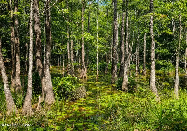Homes for sale in Lucedale, MS | 439 Acres Man Moulds Rd, Lucedale, MS 39452 | MLS# 4155866