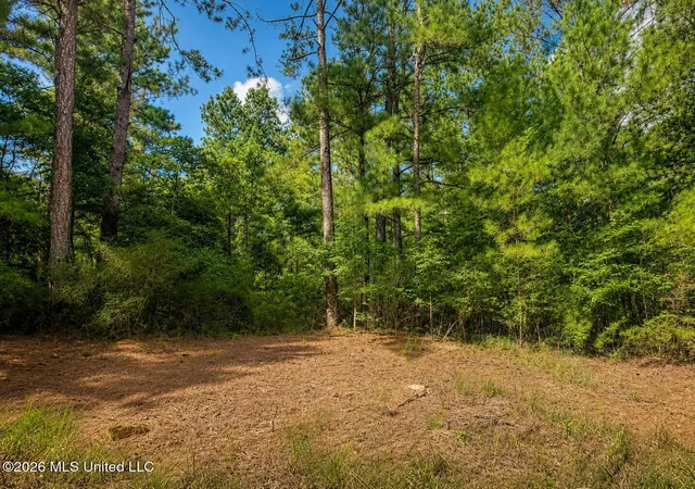 Homes for sale in Lucedale, MS | 439 Acres Man Moulds Rd, Lucedale, MS 39452 | MLS# 4155866