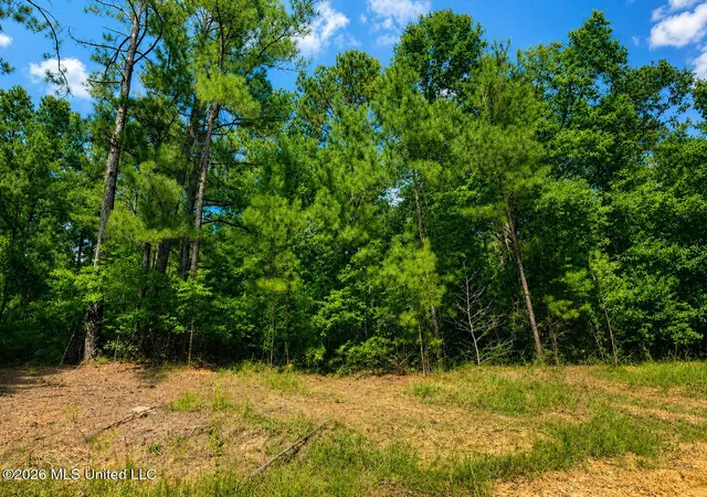 Homes for sale in Lucedale, MS | 439 Acres Man Moulds Rd, Lucedale, MS 39452 | MLS# 4155866