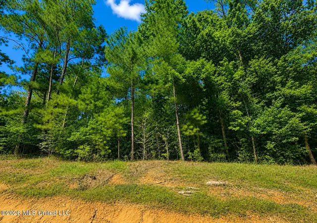 Homes for sale in Lucedale, MS | 439 Acres Man Moulds Rd, Lucedale, MS 39452 | MLS# 4155866