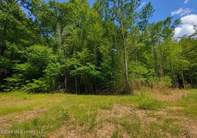 Homes for sale in Lucedale, MS | 439 Acres Man Moulds Rd, Lucedale, MS 39452 | MLS# 4155866