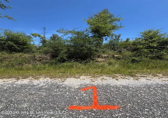Photo 3 of Land for sale at 1 Dubose Rd, Lumberton, MS 39455 | MLS# 4155430 | Listing updated on 2026-07-10