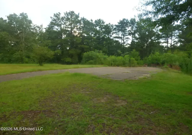 Homes for sale in Bogue Chitto, MS | 967 Se Bogue Chitto Rd, Bogue Chitto, MS 39629 | MLS# 4155449