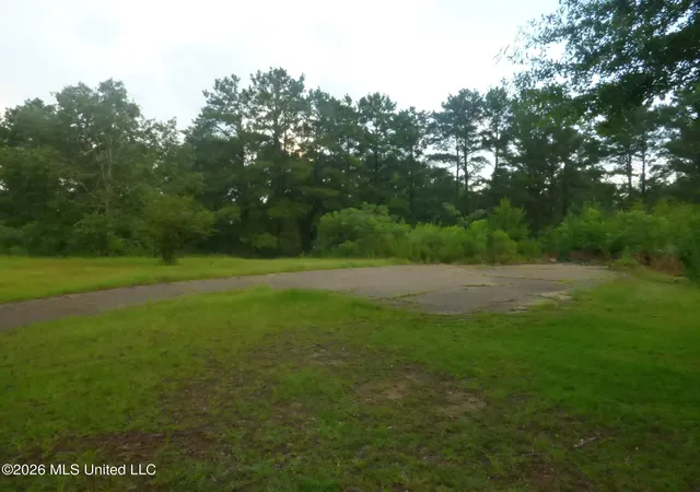Homes for sale in Bogue Chitto, MS | 967 Se Bogue Chitto Rd, Bogue Chitto, MS 39629 | MLS# 4155449