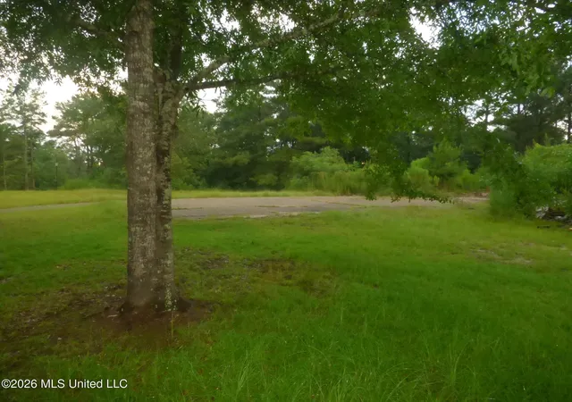 Homes for sale in Bogue Chitto, MS | 967 Se Bogue Chitto Rd, Bogue Chitto, MS 39629 | MLS# 4155449