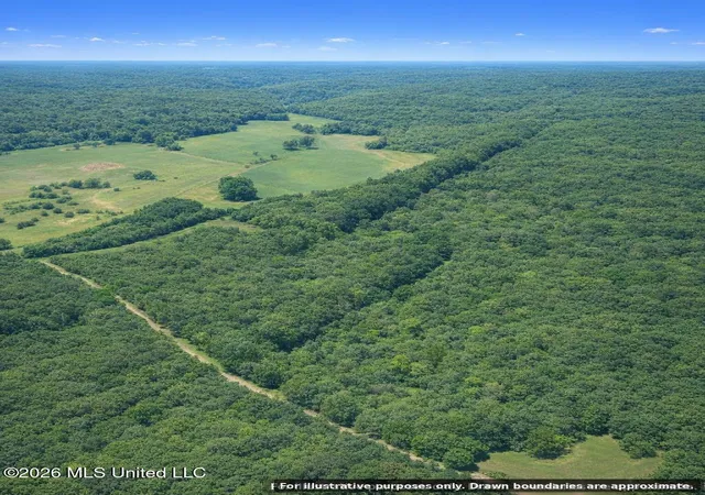 Homes for sale in Prentiss, MS | Shady Grove Trl, Prentiss, MS 39474 | MLS# 4155502