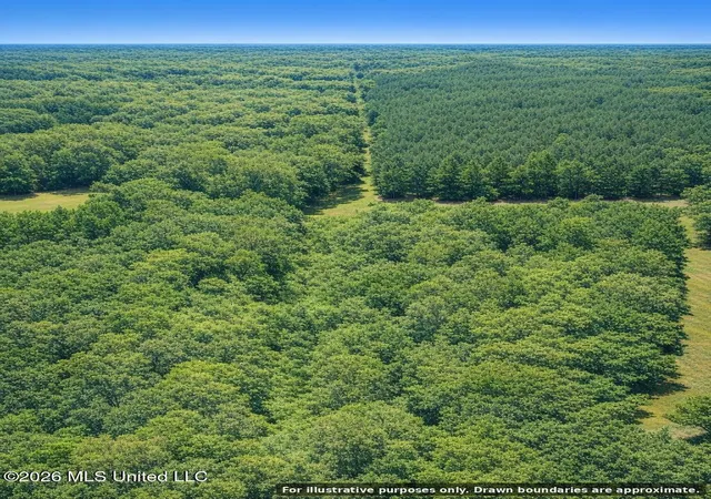Homes for sale in Prentiss, MS | Shady Grove Trl, Prentiss, MS 39474 | MLS# 4155502