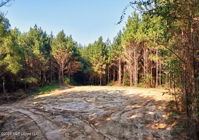 Homes for sale in Roxie, MS | Nw Ben Briggs Rd, Roxie, MS 39661 | MLS# 4155507