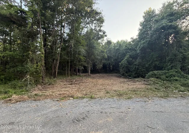 Homes for sale in Brookhaven, MS | Nw Toy Dr, Brookhaven, MS 39601 | MLS# 4155542
