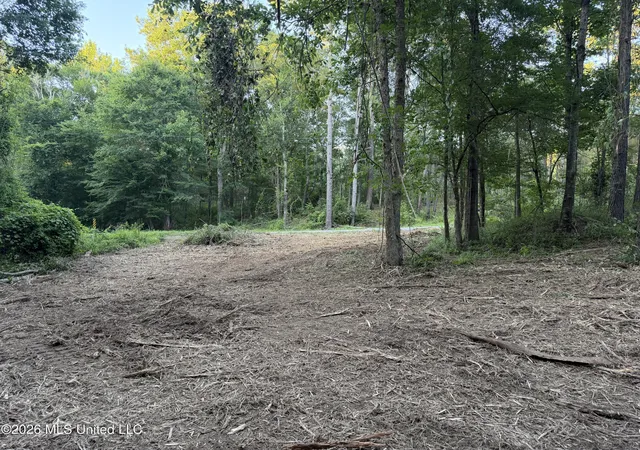 Homes for sale in Brookhaven, MS | Nw Toy Dr, Brookhaven, MS 39601 | MLS# 4155542