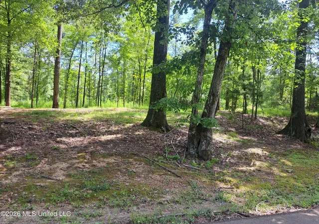 3rd image of 12 Oaks Tr, Canton, MS 39046 | MLS# 4155628