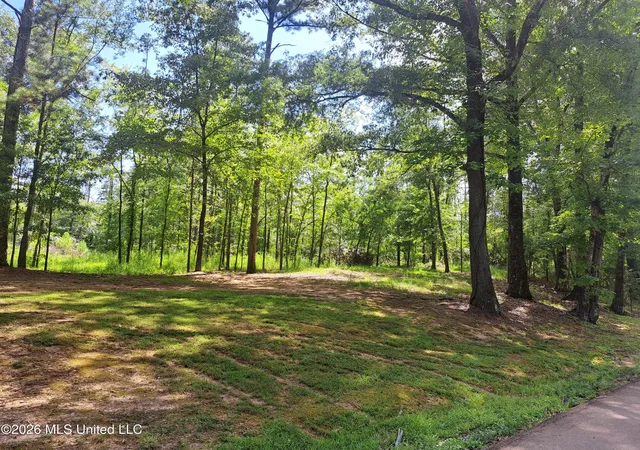 4th image of 12 Oaks Tr, Canton, MS 39046 | MLS# 4155628