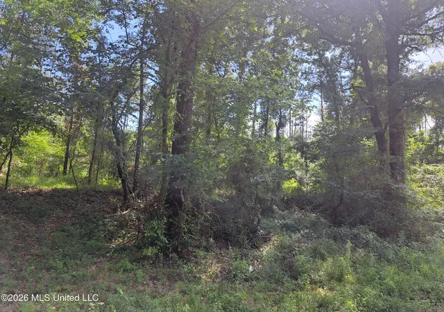 5th image of 12 Oaks Tr, Canton, MS 39046 | MLS# 4155628