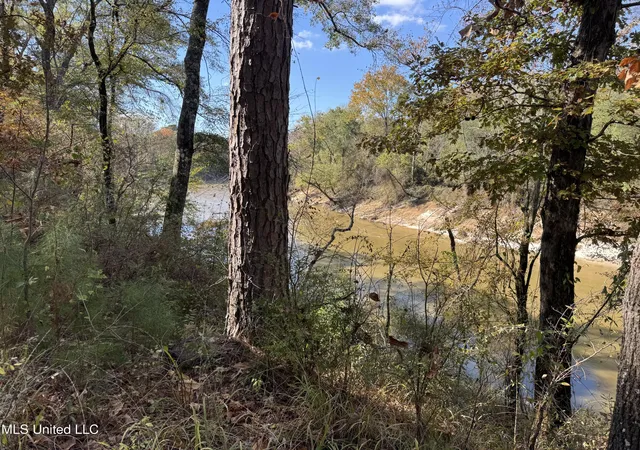 Homes for sale in Florence, MS | Rosemary Rd, Florence, MS 39073 | MLS# 4155590