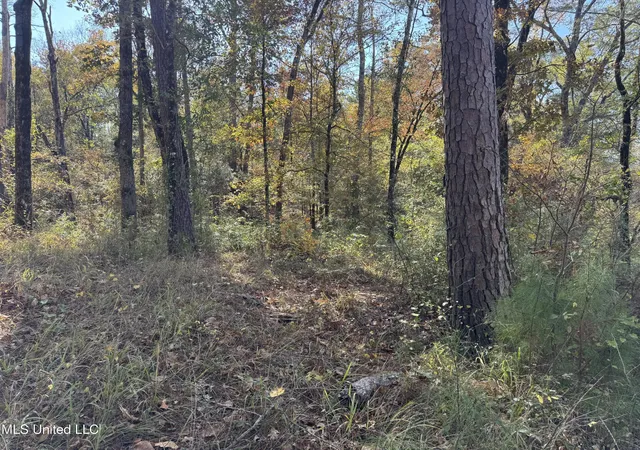 Homes for sale in Florence, MS | Rosemary Rd, Florence, MS 39073 | MLS# 4155590