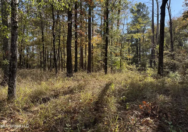 Homes for sale in Florence, MS | Rosemary Rd, Florence, MS 39073 | MLS# 4155590