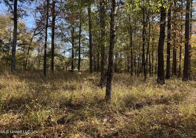Homes for sale in Florence, MS | Rosemary Rd, Florence, MS 39073 | MLS# 4155590