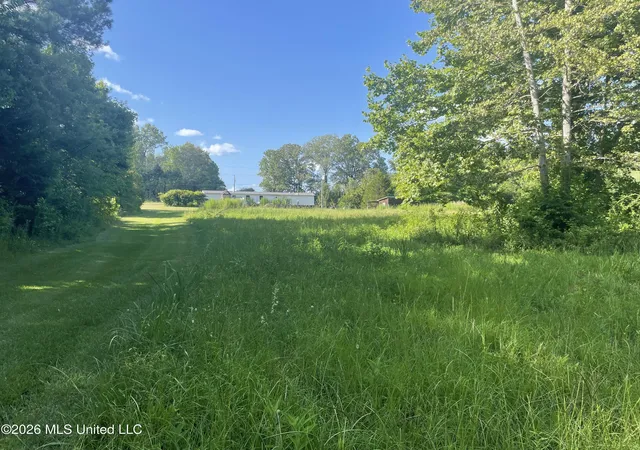 Homes for sale in Lena, MS | 444 Jims Rd, Lena, MS 39094 | MLS# 4155595