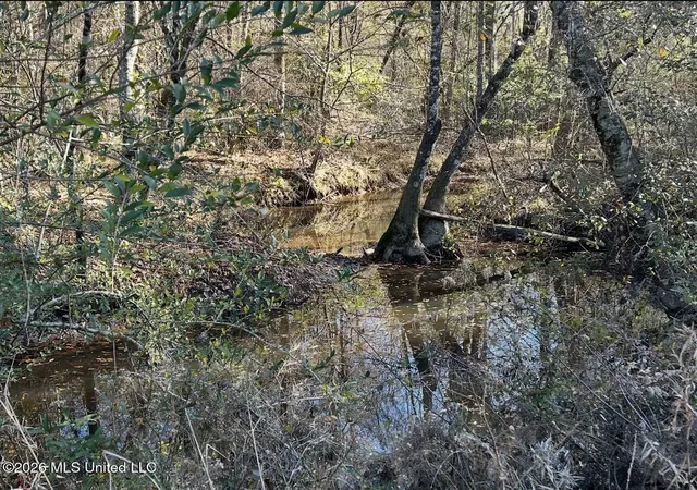19th image of 56 Dogwood Dr, Beaumont, MS 39423 | MLS# 4159381