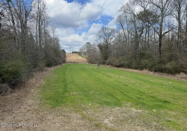 1st image of 56 Dogwood Dr, Beaumont, MS 39423 | MLS# 4159381