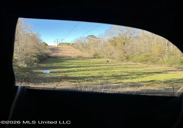 3rd image of 56 Dogwood Dr, Beaumont, MS 39423 | MLS# 4159381