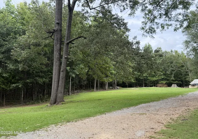 Homes for sale in Natchez, MS | 483 N Palestine Rd, Natchez, MS 39120 | MLS# 4155621