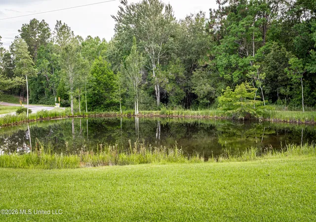 Homes for sale in Vancleave, MS | 17505 W Spring Lake Dr, Vancleave, MS 39565 | MLS# 4155676