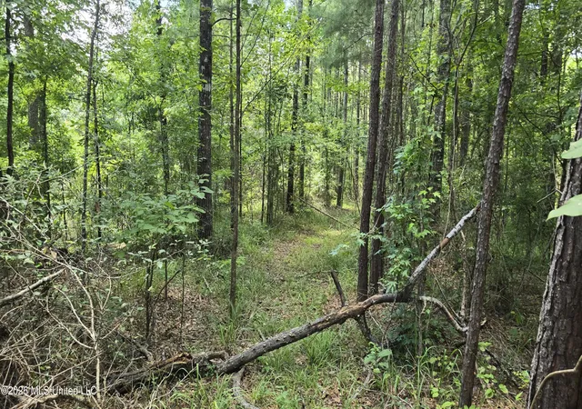 Homes for sale in Mc Call Creek, MS | Neal Posey Rd, Mc Call Creek, MS 39647 | MLS# 4155619