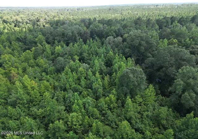 3rd image of Pam Rd, Harrisonburg, LA 71340 | MLS# 4155644