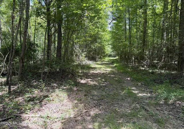 Homes for sale in West, MS | 4267 Race Track Rd, West, MS 39192 | MLS# 4155681