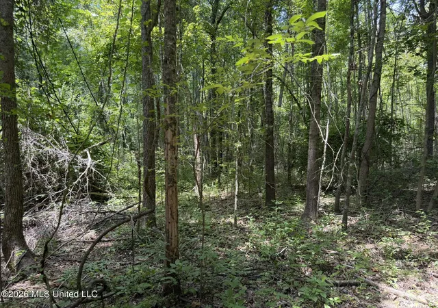 Homes for sale in West, MS | 4267 Race Track Rd, West, MS 39192 | MLS# 4155681