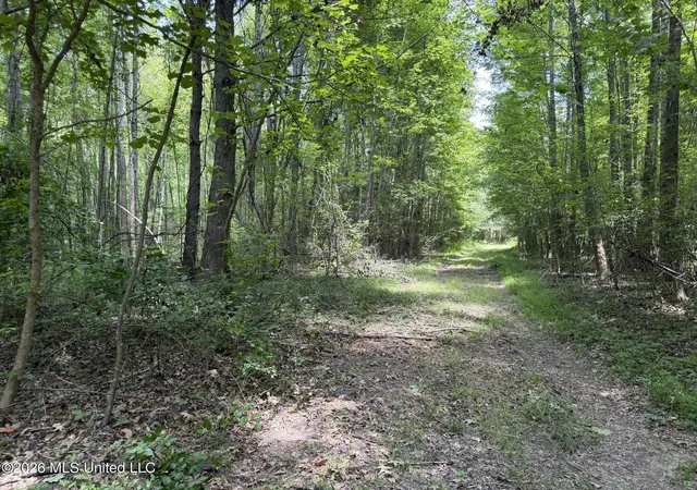 Homes for sale in West, MS | 4267 Race Track Rd, West, MS 39192 | MLS# 4155681